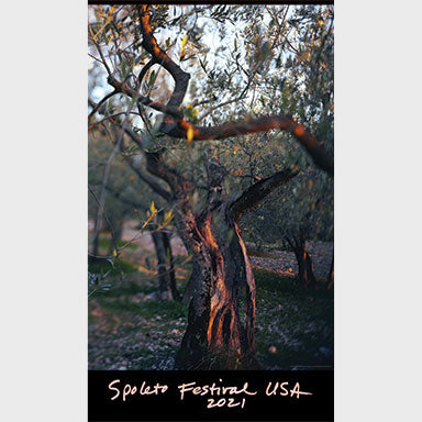 Old olive tree in an olive grove with 'Spoleto Festival USA 2021' text at the bottom.